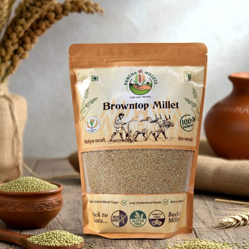 Browntop Millet